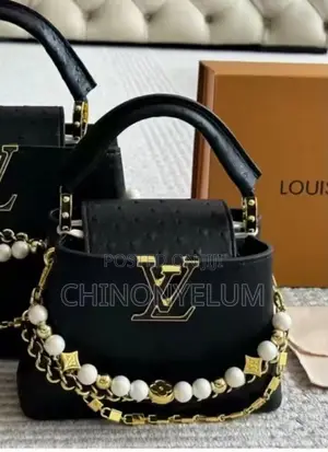 Luxury Louis Vuitton Handbag