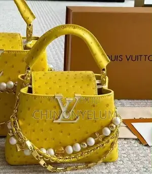 Luxury Louis Vuitton Handbag