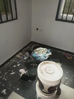 Professional Post Construction Cleaning.