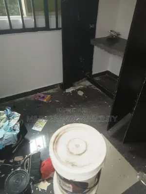 Professional Post Construction Cleaning.