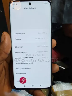 Xiaomi 12X 256 GB