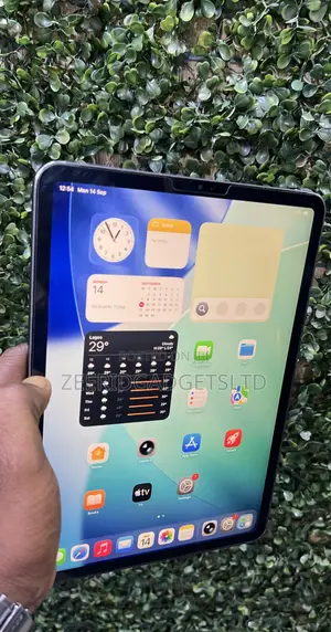 Apple iPad Pro 11 (2021) 128 GB Gray