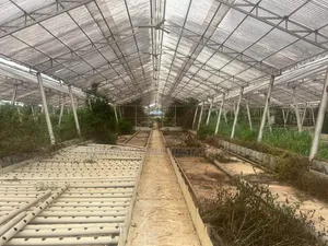 Warehouses With Large Compound for Sale