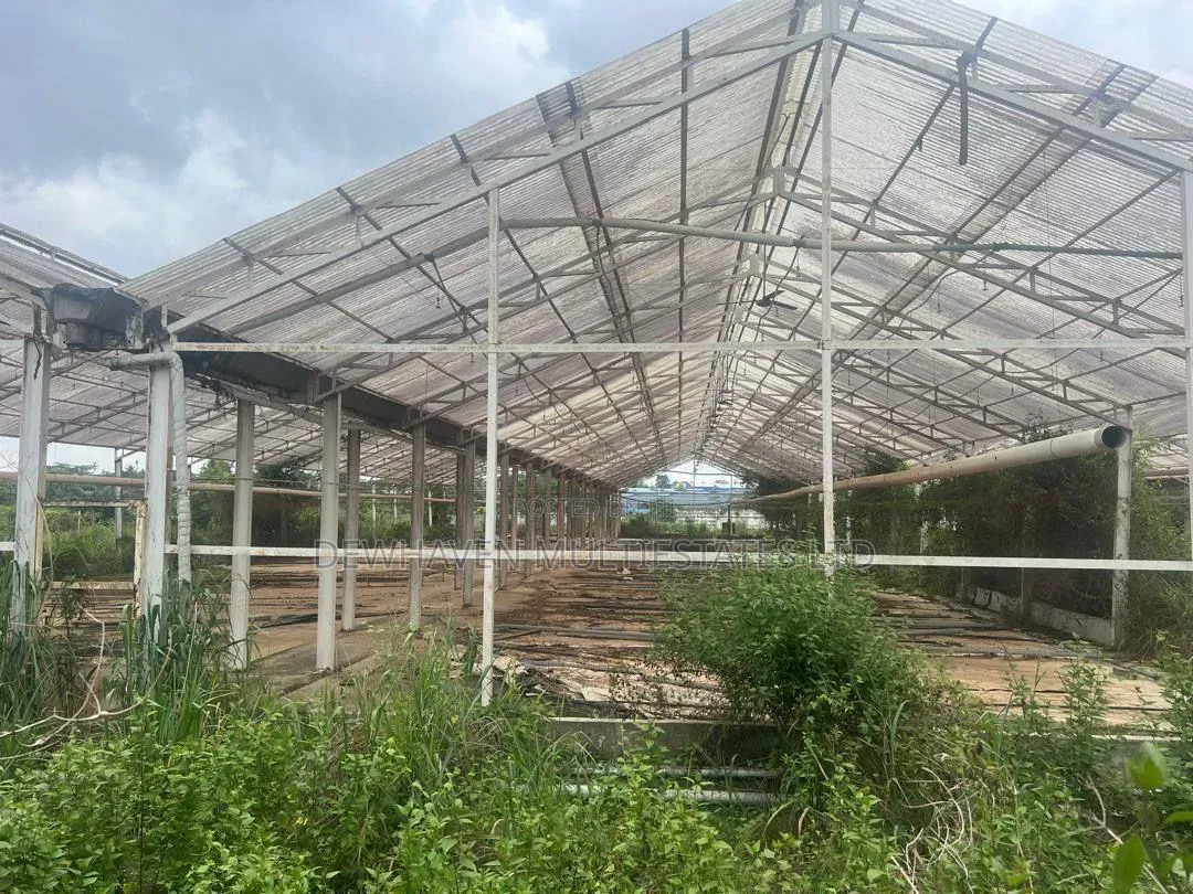 Warehouses With Large Compound for Sale