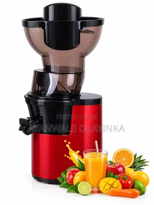 Slow Juicer