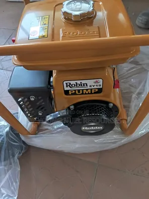 Main Original Robin Water Pump