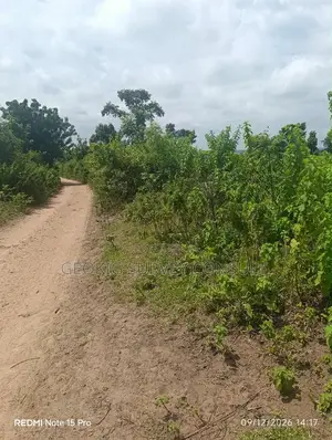 500 Acres of Fertile Farmland Is Available for Sale