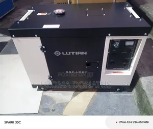 Lutian Copper Diesel Generator 10kv