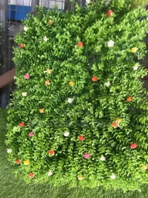 Wall Marty