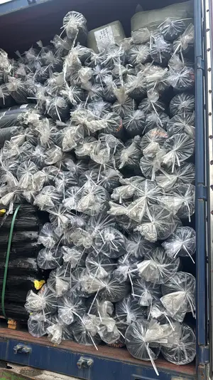 Black Safety Net