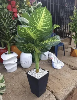 Flower Pot