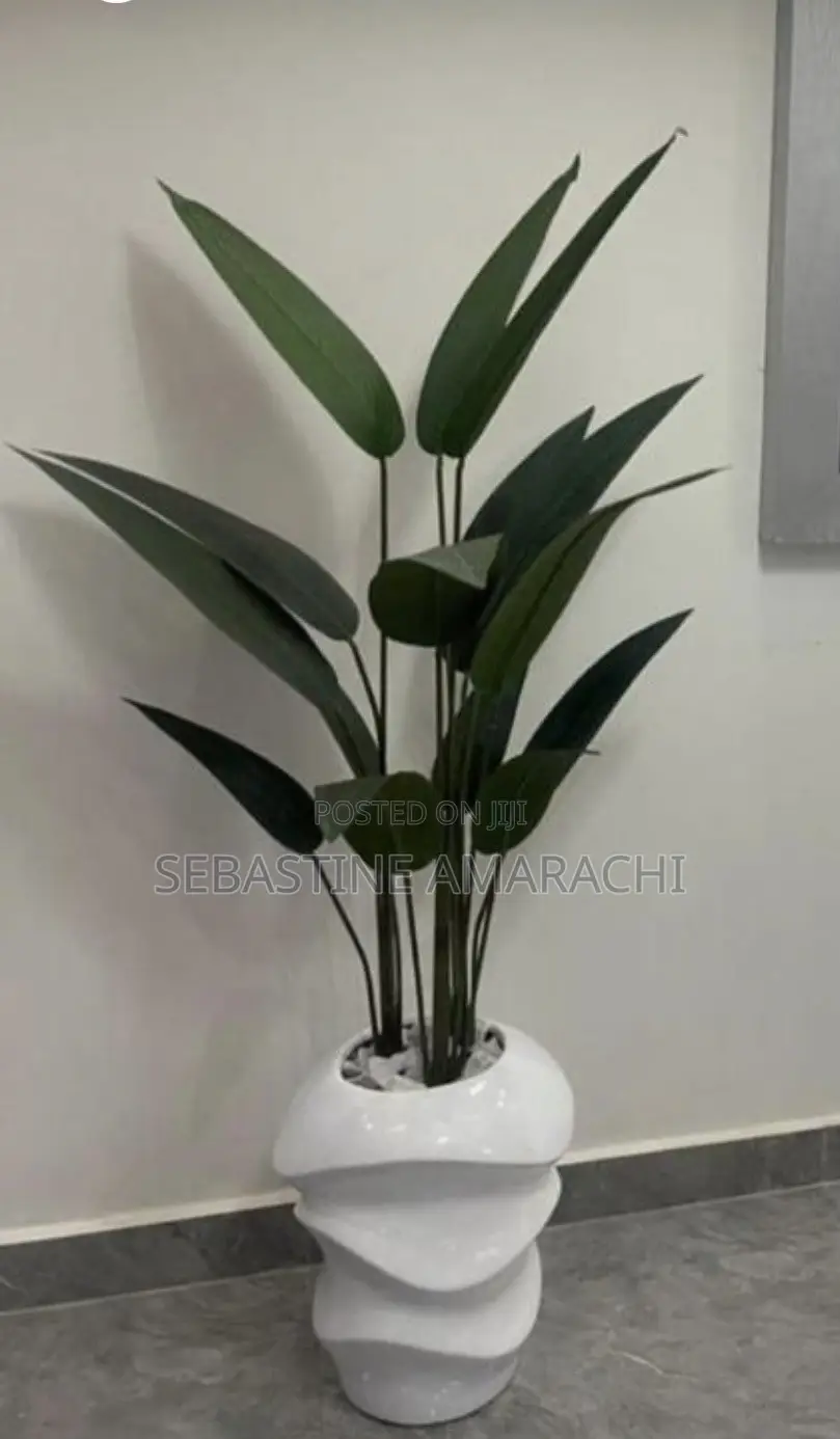 Flower Pot