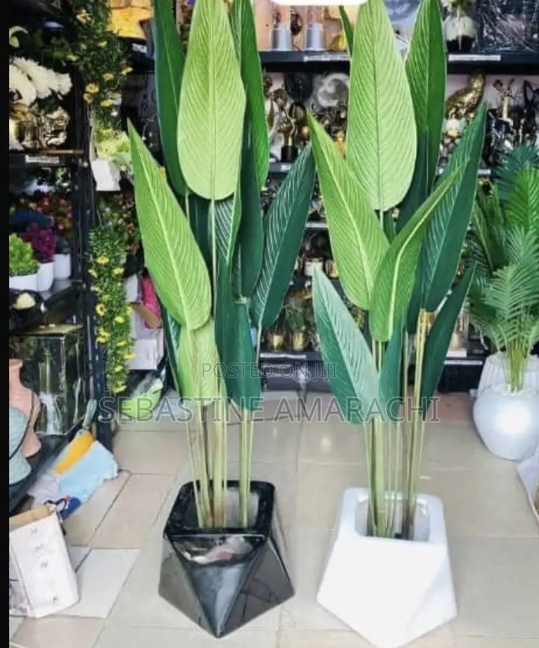 Flower Pot