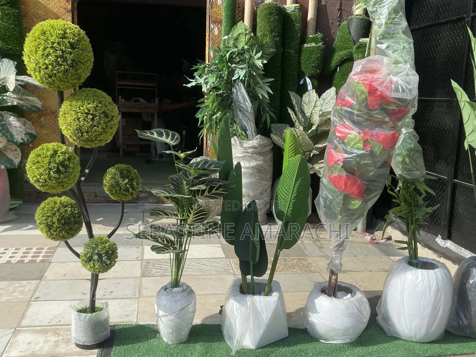 Flower Pot