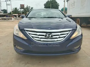 Hyundai Sonata 2013 Blue