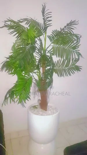 Home Accessories