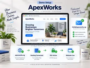 Domain, Web Hosting Professional Business Email Setup