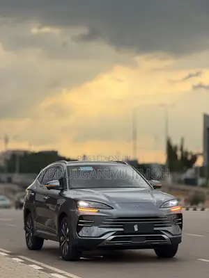 BYD Song Plus DM-i 2025 Gray