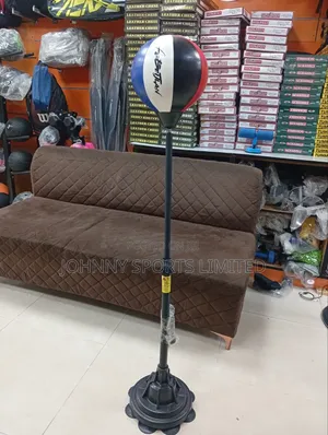 Training Boxing Speed Ball