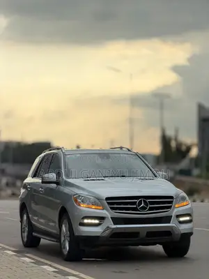 Mercedes-Benz M Class 2014 Silver