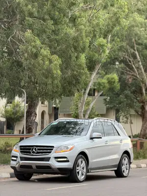 Mercedes-Benz M Class 2014 Silver