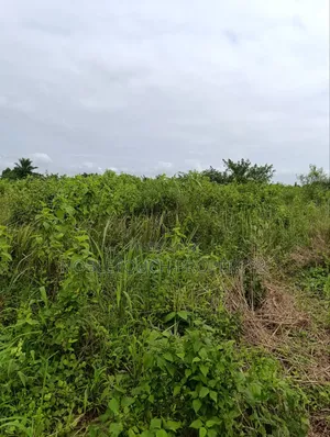 Industrial Farmland at Awowo Ogun State