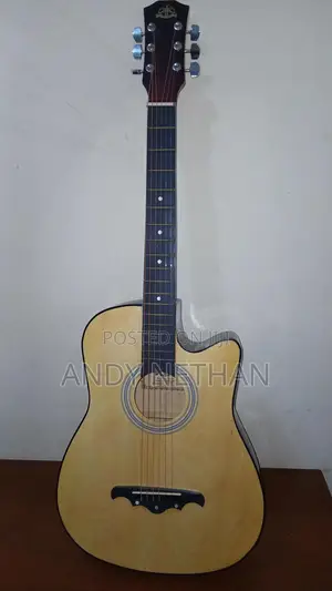 Acoustic Guitar