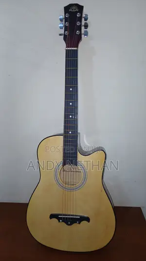 Acoustic Guitar