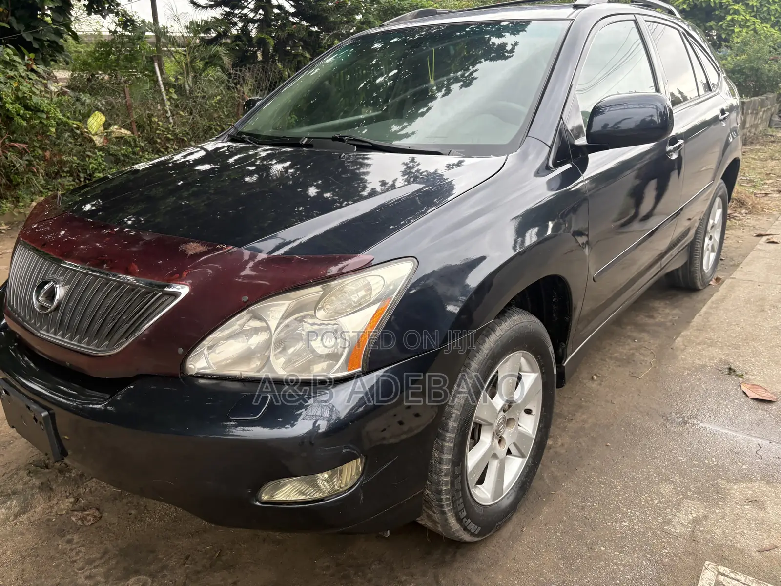 Lexus RX 2004 Blue