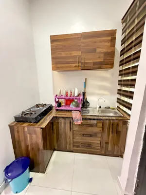 Executive Monthly Studio Apartment