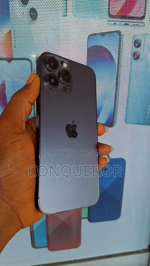 Apple iPhone 13 Pro Max 256 GB Gray