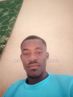 Mr Ofonime Udoidien