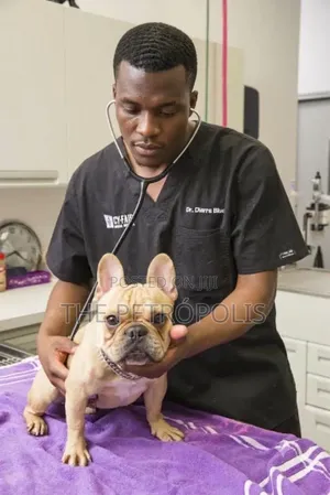 Dog Doctor in Ogun Lagos | Veterinary Care, Vaccination, Ticks Fleas