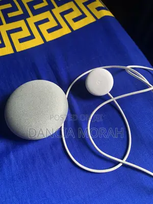 Google Nest Mini Smart Speaker for Sale