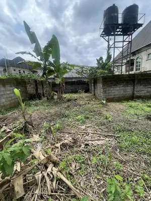 2 Plots of Land in Umuguma Owerri Imo State