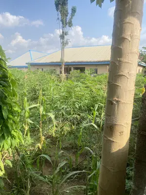 Hot Flat Land for Sale at Arab Road, Kubwa Abuja