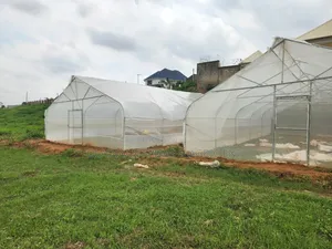 10 X 30m Greenhouse Construction Installation