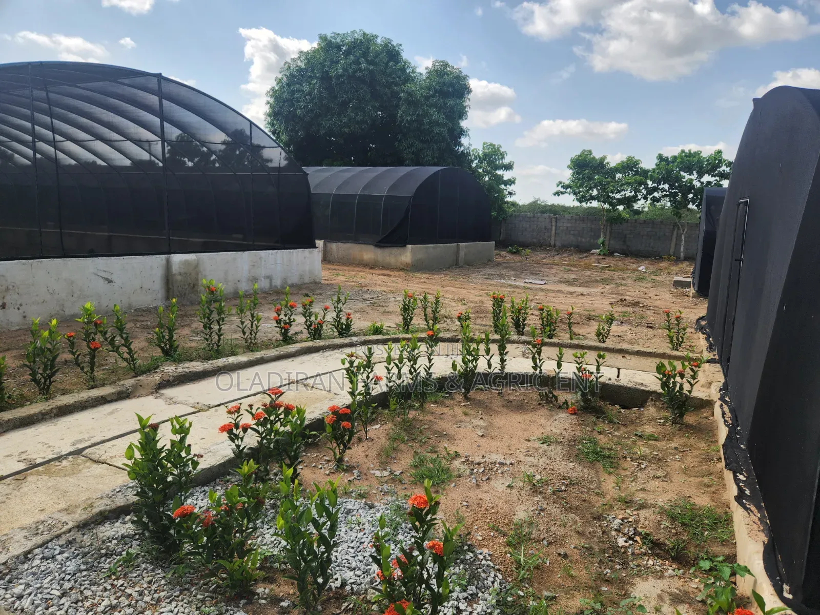 Nethouse Contruction Installation