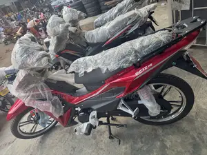 New Qlink Reiz 110 2026 Red