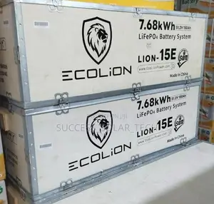 Ecolion 7.68kwh Lithium Battery