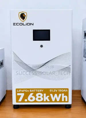 Ecolion 7.68kwh Lithium Battery