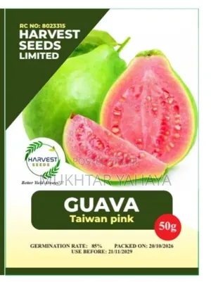 GUAVA, Taiwan Pink