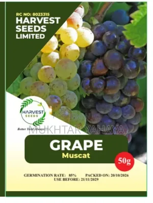 GRAPE, Muscat