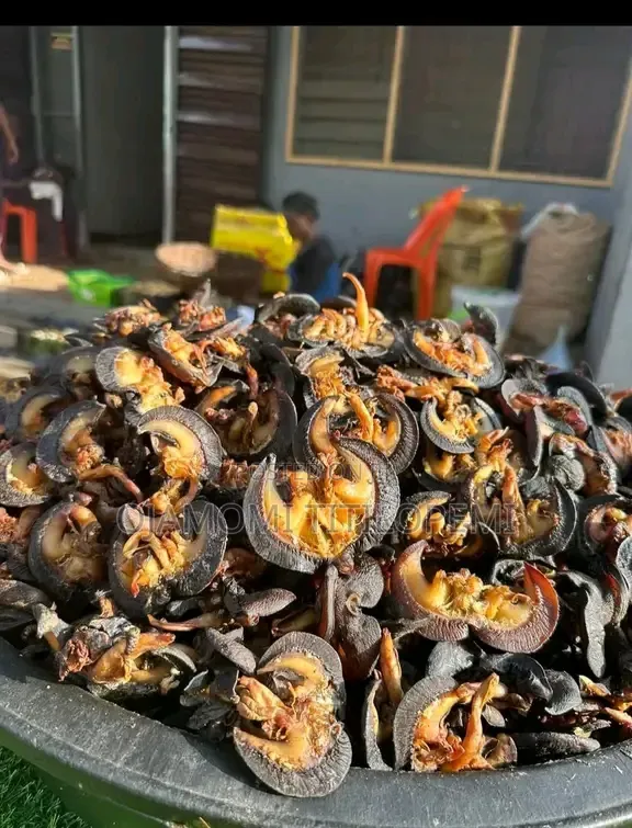 We Sell We Deliver and Export