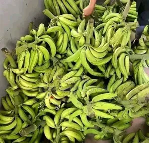 We Sell We Deliver and Export