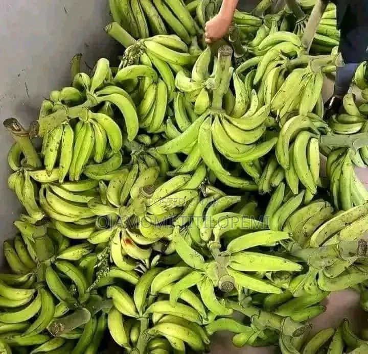 We Sell We Deliver and Export