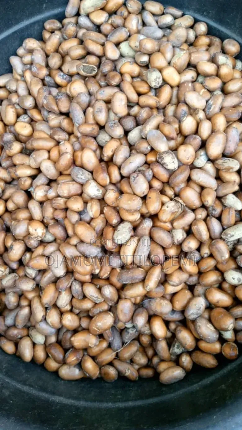 We Sell We Deliver and Export