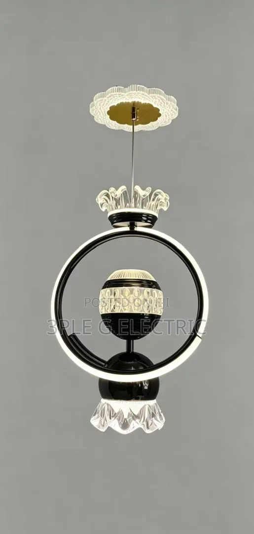 Black Body Pendant Light
