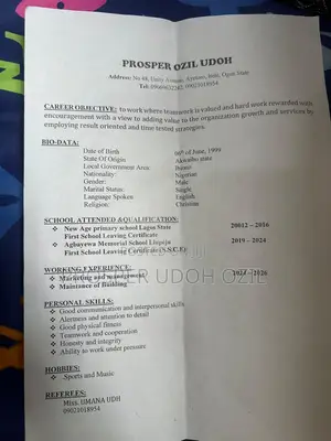 Advertising Marketing CV