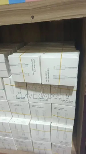 Apple C-Lightening Cords